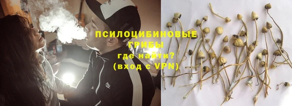 твердый Медногорск