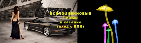 молекула духа Михайловск