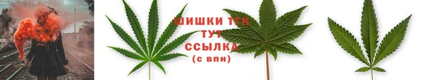 твердый Медногорск
