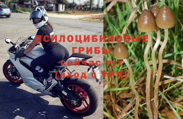 твердый Медногорск