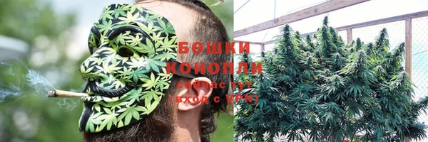 хмурый Мегион