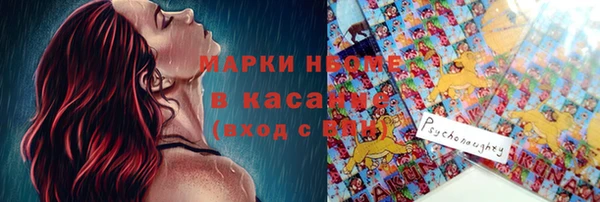 хмурый Мегион