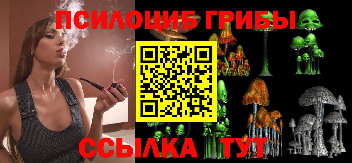 Псилоцибиновые грибы MAGIC MUSHROOMS Назрань